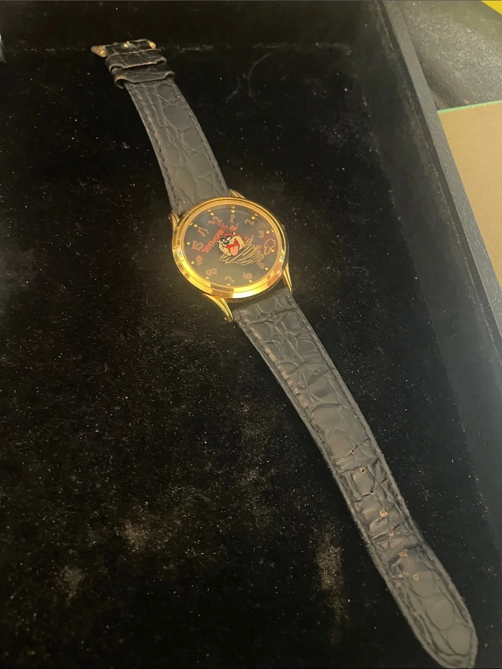 Tasmanian Devil Watch “Cyclone”.  Working